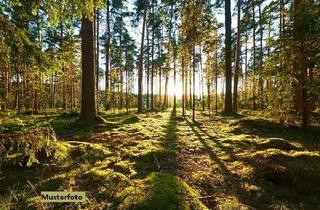 Grundstück zu kaufen in Teichberg, 67734 Katzweiler, Waldgrundstück (Laub- und Nadelholz)