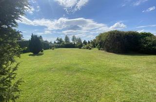 Grundstück zu kaufen in 04821 Brandis, Sonniges Freizeitgrundstück in ruhiger Lage von Brandis