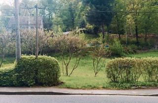 Grundstück zu kaufen in 01737 Tharandt, Bauplatz für EFH in Tharandt Innenstadt