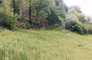 Grundstück zu kaufen in 01737 Tharandt, Grundstück mit Baugenehmigung für EFH in Tharandt