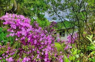 Grundstück zu kaufen in 01814 Rathmannsdorf, Kleines Freizeitidyll mit Bungalow in der Sächsischen Schweiz!