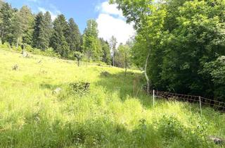 Grundstück zu kaufen in 75323 Bad Wildbad, +++ Bauplatz mit grandioser Aussicht! +++