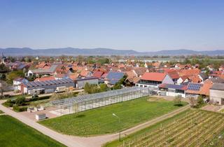 Immobilie mieten in Hauptstr. 95, 67482 Böbingen, Geräumiges Gewächshaus in Böbingen – Ideal für kreative Projekte, Anbau & Events!