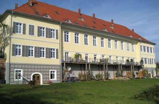 Wohnung mieten in Neumayerstraße 18, 67292 Kirchheimbolanden, Ansprechende und vollständig renovierte 2-Zimmer-Dachgeschosswohnung in Kirchheimbolanden