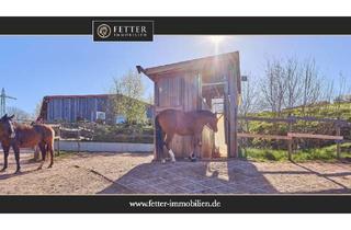 Haus kaufen in 67681 Wartenberg-Rohrbach, Reitanlage in Rheinland-Pfalz – moderner Aktivstall im Donnersbergkreis!
