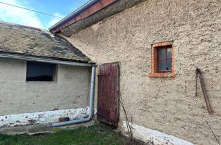 Bauernhaus kaufen in 04509 Delitzsch, ++Pacht möglich++ Sanierung eines Bauernhauses aus Lehm zwischen Leipzig und Halle