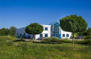 Büro zu mieten in 04552 Borna, Gewerbehalle 680m² Lager und 4xBüro (125m²), umzäuntes Freigelände 800 m²