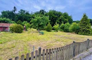 Grundstück zu kaufen in 29490 Neu Darchau, Großes Baugrundstück mit freiem Elbblick in Neu Darchau
