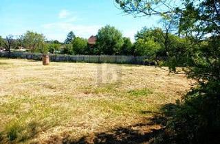 Grundstück zu kaufen in 38889 Blankenburg, EXKLUSIVES PANORAMA IN ALLEINLAGE