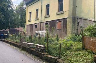 Einfamilienhaus kaufen in 42653 Solingen, Solingen - Freistehendes Einfamilienhaus mit Gästehaus und Waldgrund