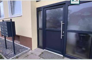 Wohnung kaufen in 49205 Hasbergen, Helle Räume, neue Fenster, neue Böden – alles, was zählt!