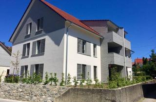 Wohnung mieten in Ledergasse, 78337 Öhningen, Neuwertige Dachgeschosswohnung mit vier Zimmern sowie Balkon und EBK in Öhningen