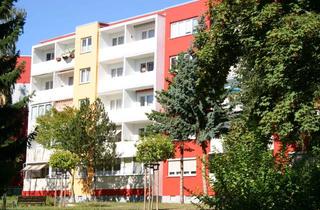 Wohnung mieten in Robert-Schumann-Str. 31, 06712 Zeitz, Super 3-Raum-Wohnung in zentraler Lage von Zeitz-Ost