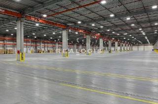 Gewerbeimmobilie mieten in 84539 Ampfing, ca. 4.500 m² Neubau Lagerflächen an der A94 ab sofort zu vermieten