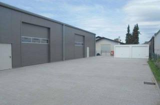 Gewerbeimmobilie mieten in Junkersring, 76344 Eggenstein-Leopoldshafen, Große Lagerhalle (Baujahr 2020) im Industriegebiet in Eggenstein!