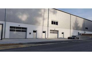 Büro zu mieten in Ludwig-Erhard-Straße 31, 84069 Schierling, Produktions- Ausstellungs- Verpackungs- Lager- Gebäude 600-800 qm "mit kostenloser Abwärme beheizt"