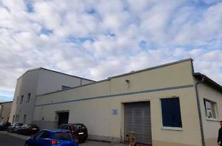 Gewerbeimmobilie mieten in 04668 Mutzschen, Lagerhalle im Gewerbepark