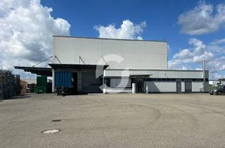 Gewerbeimmobilie kaufen in 72406 Bisingen, Lager-/ Produktionsimmobilie nahe der B27