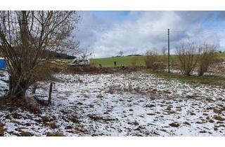 Grundstück zu kaufen in 78078 Niedereschach, Großes Baugrundstück mit Baufenster in Niedereschach-Schabenhausen – 2.443 m² in ruhiger Lage