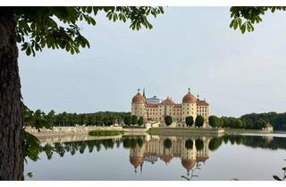 Wohnung mieten in 01468 Moritzburg, Vollständig renovierte 2-Raum-Wohnung mit Balkon, Keller und Einbauküche in Moritzburg