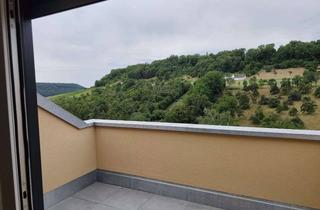 Wohnung mieten in Oberer Worgberg, 74653 Ingelfingen, Stilvolle, neue 3-Zimmer-Wohnung Erstbezug mit Balkon und Einbauküche in Ingelfingen