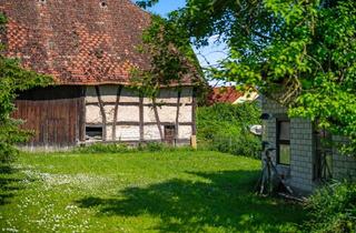 Haus kaufen in 79206 Breisach, Landidyll auf großzügigem Anwesen mit vielfältiger Nutzungsmöglichkeit