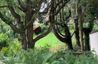 Mehrfamilienhaus kaufen in 74074 Heilbronner Kernstadt, Vermietetes Mehrfamilienhaus das seines Gleichen sucht-in HN-Ost!!! NÄHE PFÜHLPARK!!!
