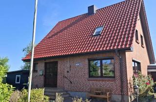 Haus mieten in Wormshöft, 24376 Hasselberg, Einfamilienhaus mit tollem Schleiblick