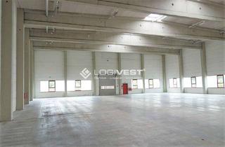 Gewerbeimmobilie mieten in 85435 Erding, Ihre neue Gewerbehalle: Neuwertig, sofort frei & top erreichbar über A94!