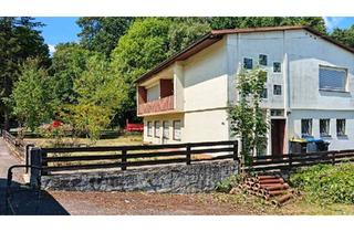 Villa kaufen in 35279 Neustadt, Neustadt (Hessen) - 35279 Neustadt Einfamilienhaus. Zu Verkaufen. Altbau-Villa