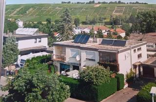 Doppelhaushälfte kaufen in 74366 Kirchheim, Kirchheim am Neckar - Ohne Makler Dopelhaushälfte mit Blick auf die Weinberge