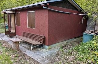 Haus kaufen in 06456 Sandersleben, Arnstein - Wald und Freizeit Grundstück