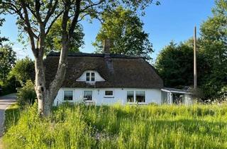 Haus kaufen in 24407 Rabenkirchen-Faulück, Rabenkirchen-Faulück - Charmante Reetdachkate auf wunderschönem, großem Grundstück