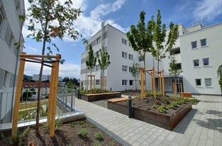 Penthouse mieten in Im Blümert 44, 73431 Aalen, Neubau - Helle 5-Zimmer-Penthouse-Wohnung