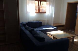 Wohnung mieten in 91330 Eggolsheim, Schöne 2-Zimmer-Souterrain-Wohnung mit Einbauküche im Markt Eggolsheim