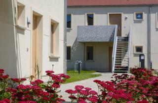 Wohnung mieten in Am Park 2b, 39167 Irxleben, ERSTBEZUG | 3-RAUM | NEUBAU | WOHNEN AM WILDPARK