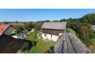 Bauernhaus kaufen in Steinstr. 11, 17429 Benz, Dorfbauernhof **Insel Usedom** Wohnhaus, Reetdachscheune, Innenhof, Garten
