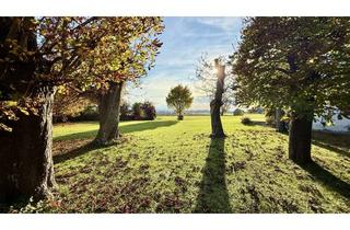 Villa kaufen in 83329 Waging am See, Zauberhafte Landhausvilla mit Künstlerwerkstatt, großzügigen Rückgebäude, Bergblick, Seenähe