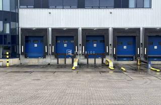 Gewerbeimmobilie mieten in 50170 Kerpen, Sofort / Regaliert / Rampen