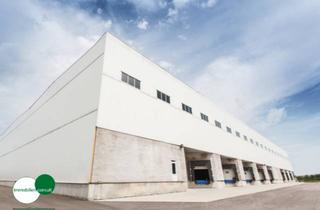 Büro zu mieten in 64546 Mörfelden-Walldorf, 1.053 m² Hallenfläche mit Büro ( optional ) provisionsfrei zu vermieten