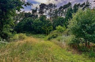 Grundstück zu kaufen in 29364 Langlingen, Bauland - wunderschönes Naturgrundstück in Hohnebostel/Langlingen