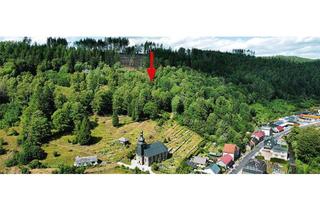 Grundstück zu kaufen in Bahnhofstraße 96a, 98746 Katzhütte, Vertragsfreie Landwirtschaftsfläche in 98746