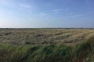 Grundstück zu kaufen in Jöljarm, 25980 Sylt, Sommerweide/ Pferdekoppel zu verkaufen