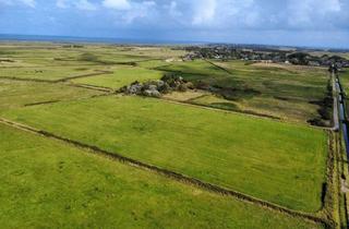Grundstück zu kaufen in Jöljarm, 25980 Sylt, Sommerweide/ Pferdekoppel zu verkaufen