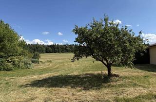 Grundstück zu kaufen in 75305 Neuenbürg, Sonniges Grundstück mit Waldblick
