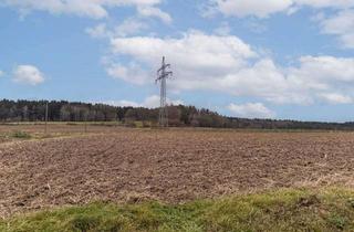 Grundstück zu kaufen in 93466 Chamerau, Ihre Chance: Großzügiges Grundstück perfekt für eine Photovoltaik-Freiflächenanlage