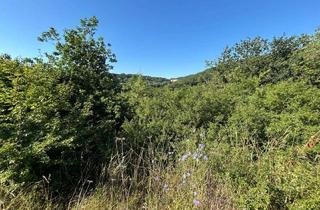 Grundstück zu kaufen in 55606 Hahnenbach, Ca. 892 m² großes Grundstück in Hahnenbach