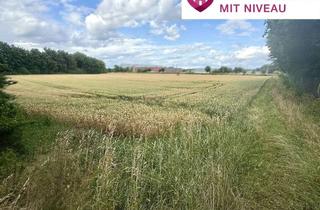 Gewerbeimmobilie kaufen in 89423 Gundelfingen, Rund 3500m2 für 3500 Möglichkeiten! Gewerbegrundstück in Top Lage von Gundelfingen a. d. Donau