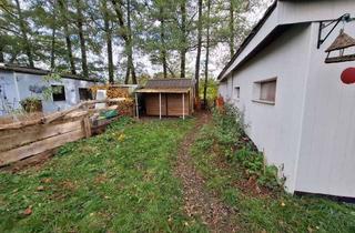 Wohnung mieten in 03249 Sonnewalde, Besonderer Bungalow