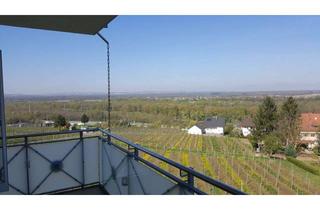 Wohnung mieten in Blansingerstraße 15, 79415 Bad Bellingen, 4-Zimmer-Wohnung mit Terrasse und Einbauküche in Bad Bellingen / Rheinweiler